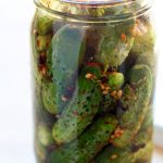 Pickles probiotic with lactobacillus gasseri
