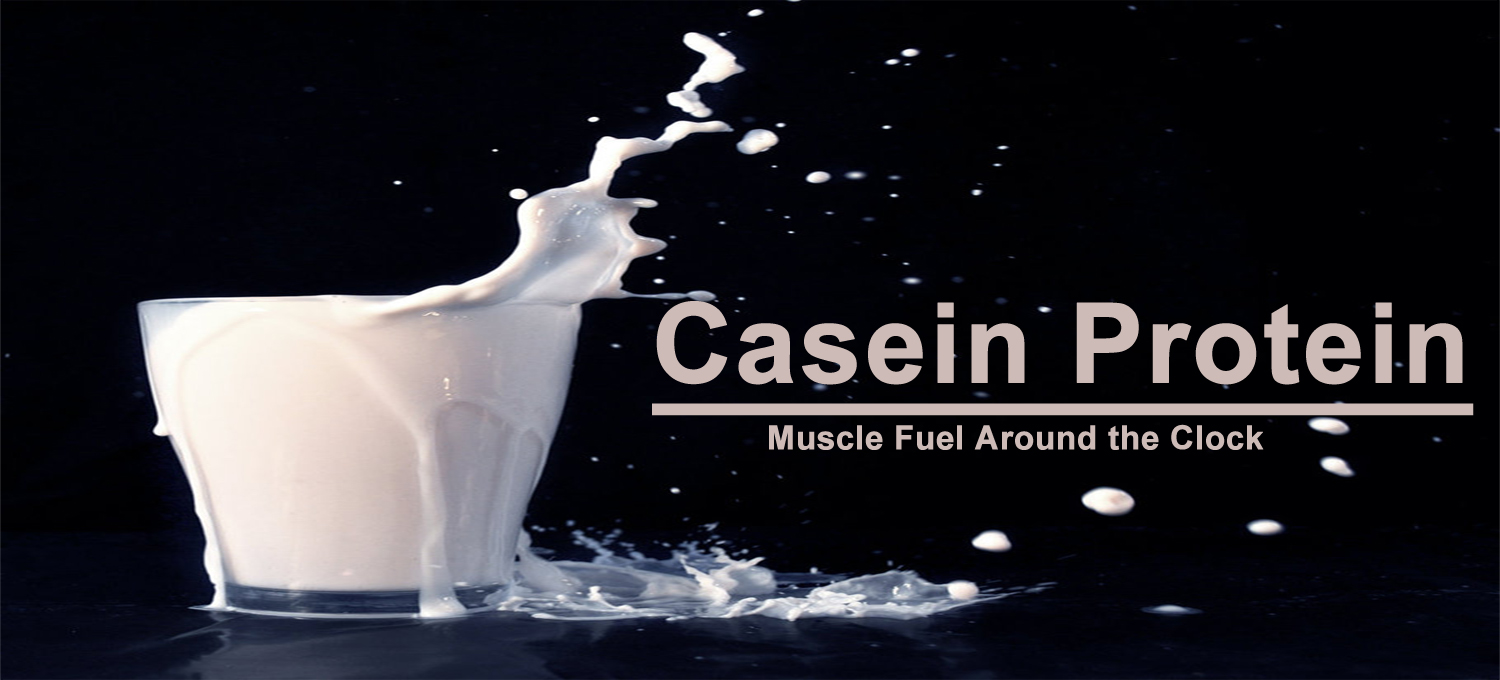 casein protein