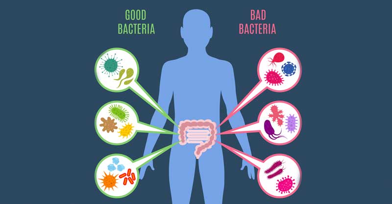 probiotic with lactobacillus gasseri