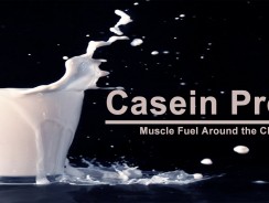 Casein Protein – All You Need To Know About Casein Protein Powder